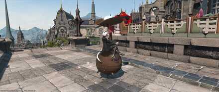 チョコロポックル