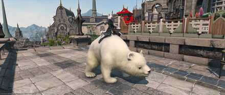 ポーラーベアー