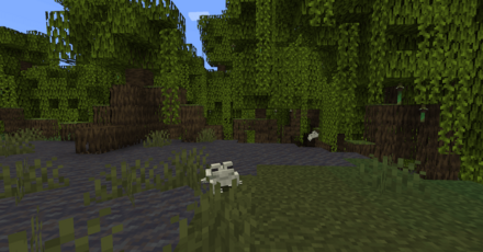 マングローブの湿地 カエル