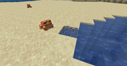 カエルの卵 産卵