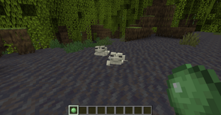 カエル スライムボール 誘導