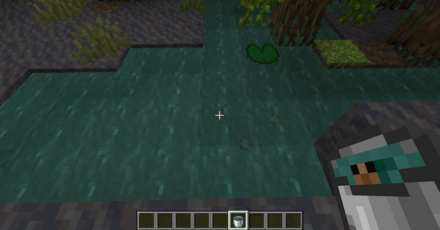 オタマジャクシ入りバケツ