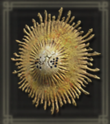 輝ける金仮面画像