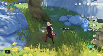 拠点外の落ち葉