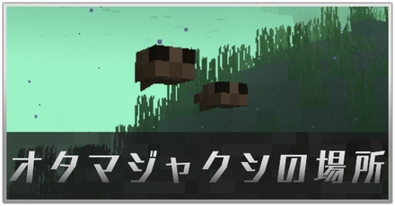 オタマジャクシの場所