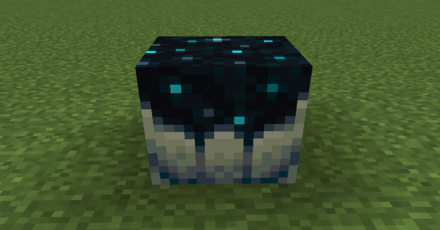 スカルクカタリスト