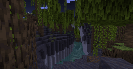 マングローブの沼地