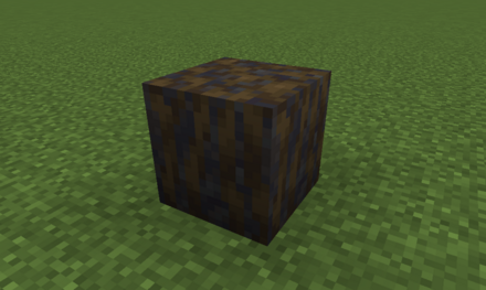 泥まみれのマングローブの根