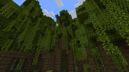 マングローブの沼地