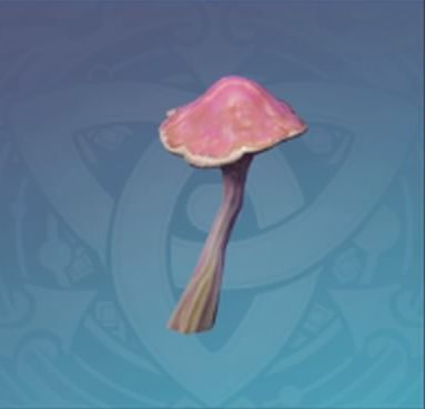 築鋒葵茸の画像