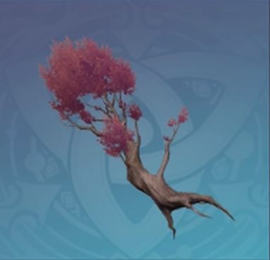 煙赤懸針樹の画像