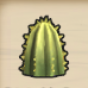 柱サボテンの頭画像