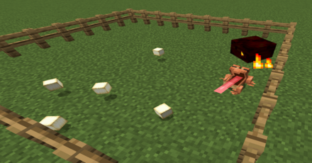 マグマキューブ カエル