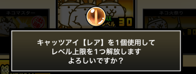 キャッツアイ使用