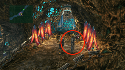 ナバラ＝グアドのスカウト場所