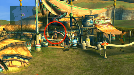 ネーダーのスカウト場所