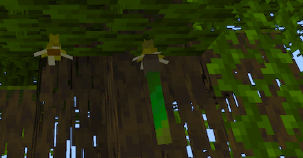 マングローブの芽　生成