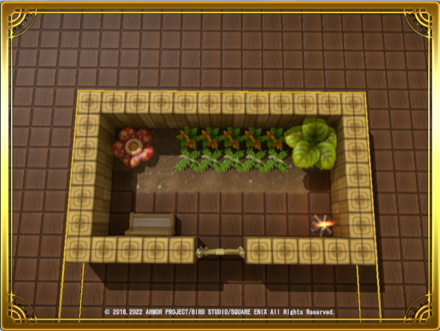 ジャングル庭園画像