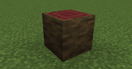 マングローブの原木