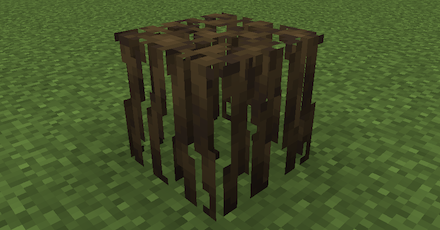 マングローブの根