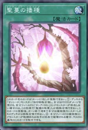 聖蔓の播種画像