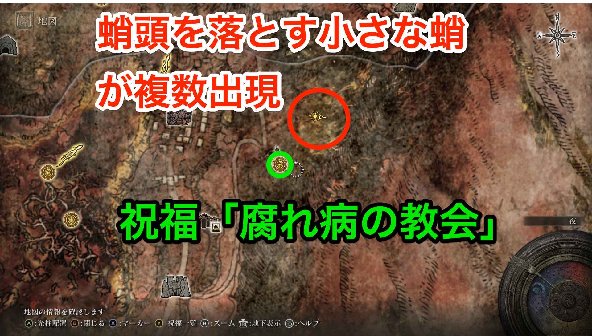 蛸頭を落とす蛸がいる場所