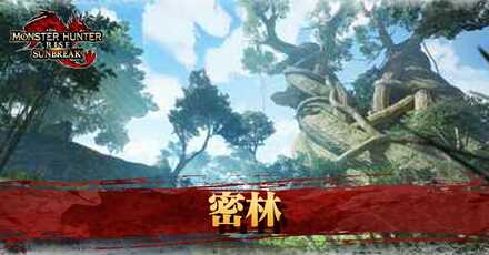 密林のサブキャンプと隠しエリア