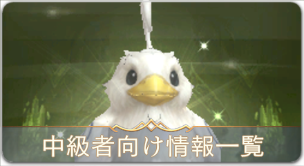 中級者向け情報一覧