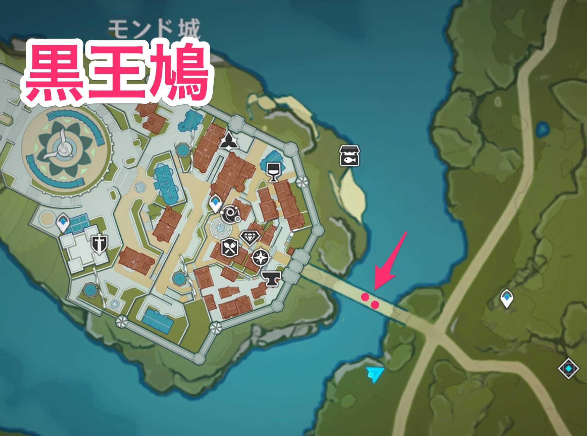 黒王鳩のマップ画像