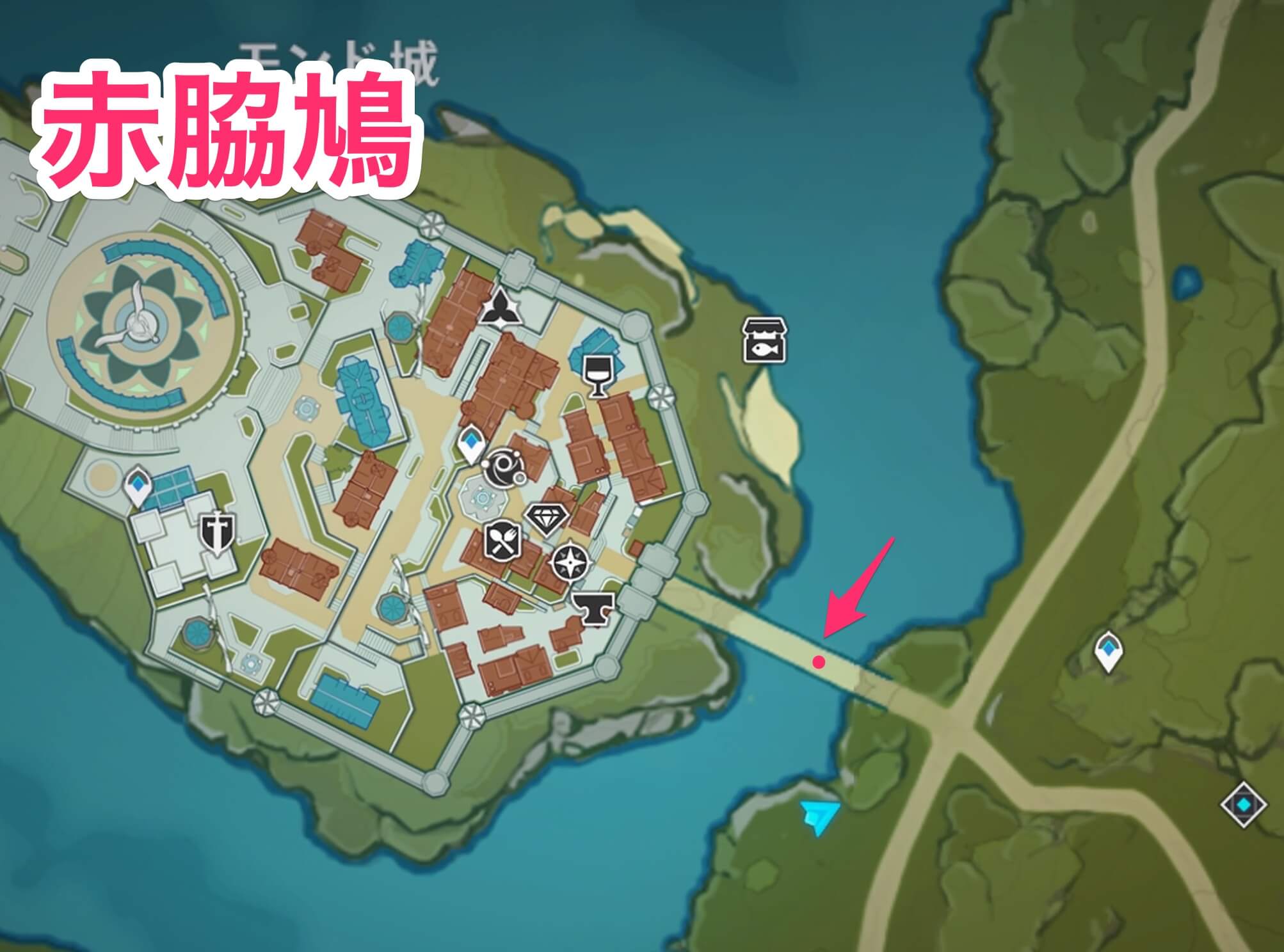 赤脇鳩のマップ画像