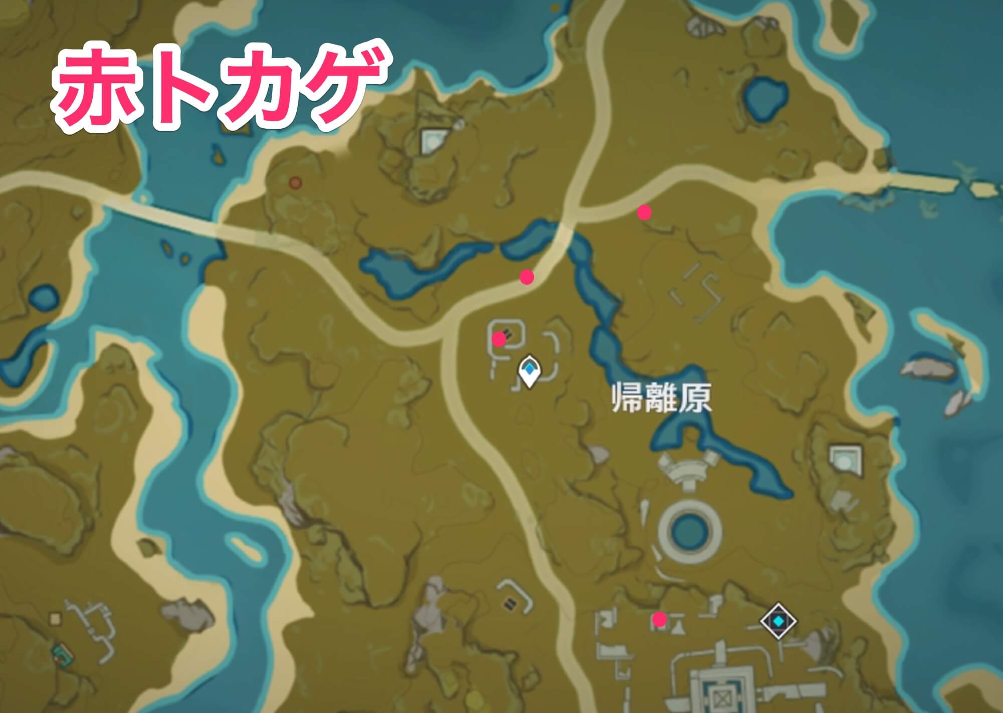 赤トカゲのマップ画像