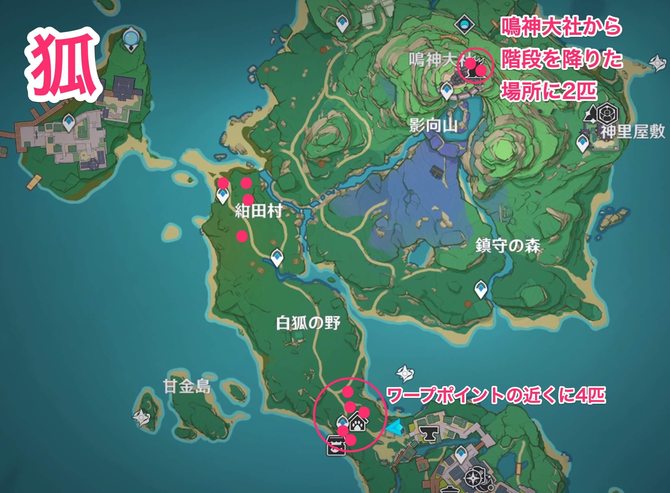 狐のマップ画像