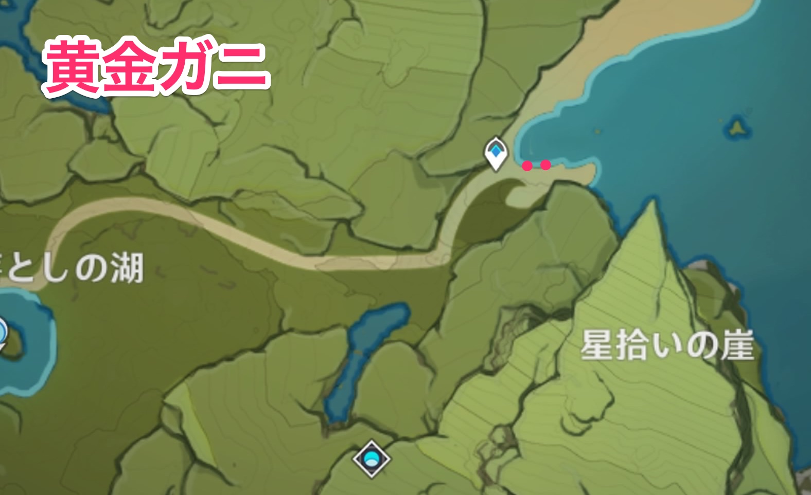 黄金ガニのマップ画像