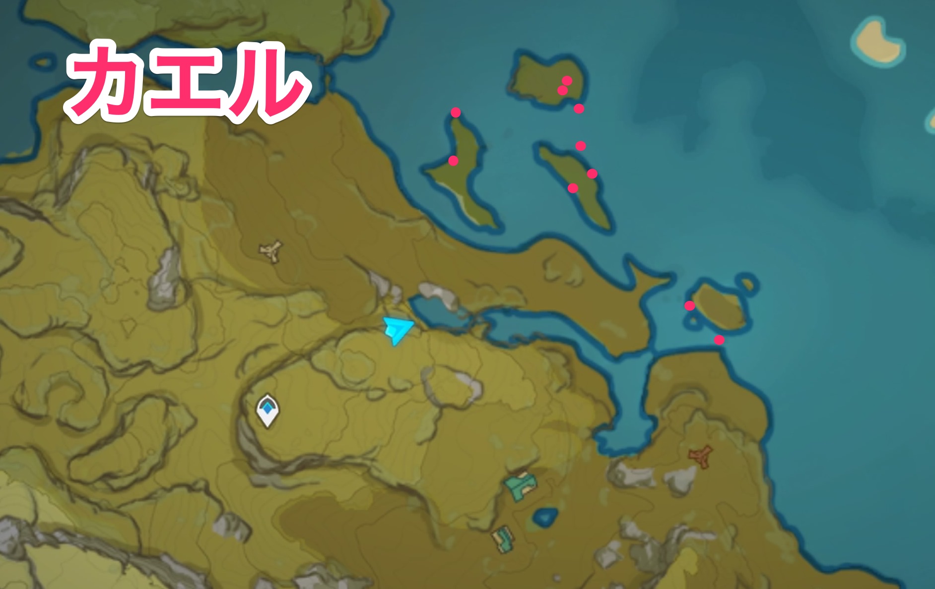 カエルのマップ画像