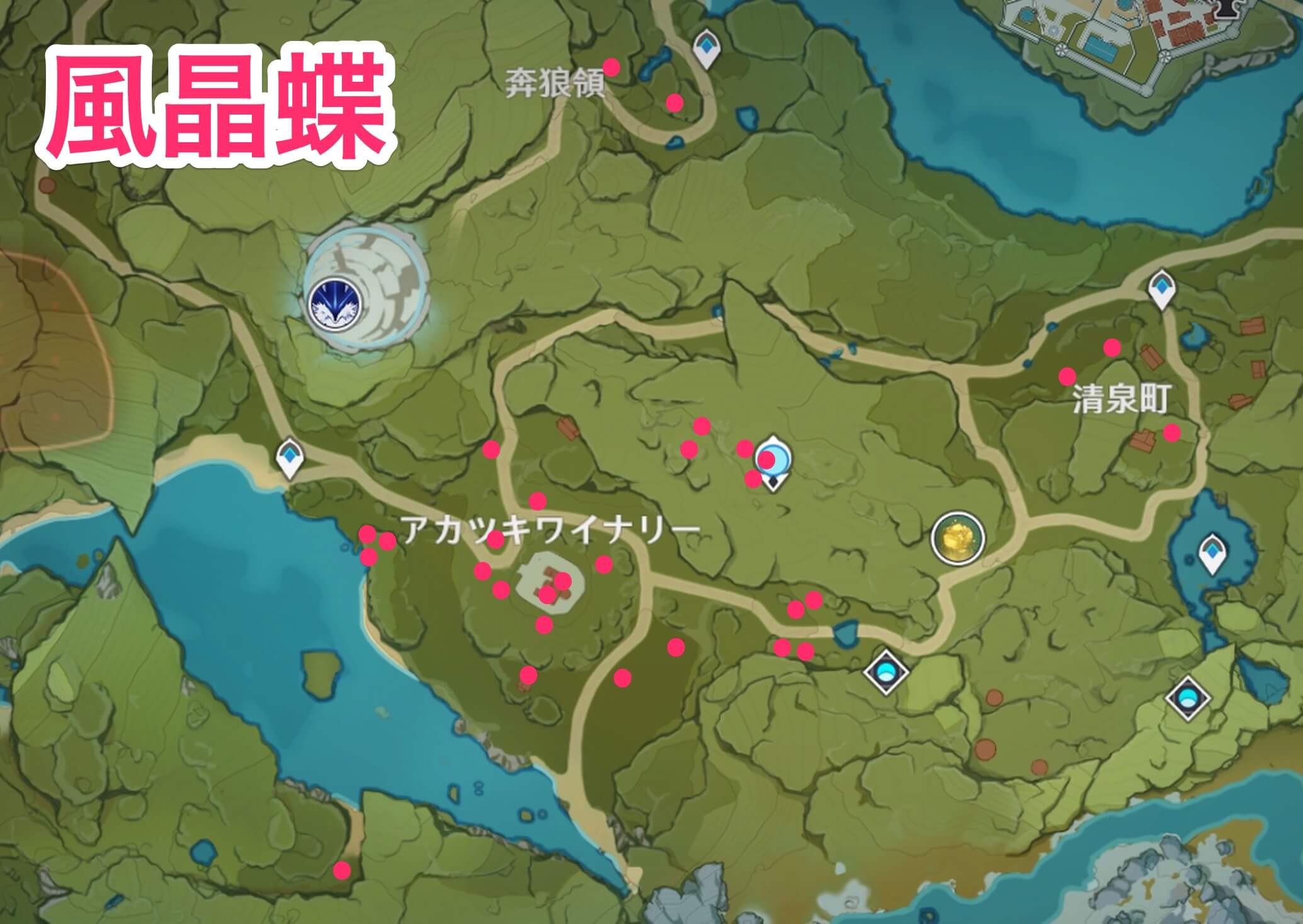 風晶蝶のマップ画像