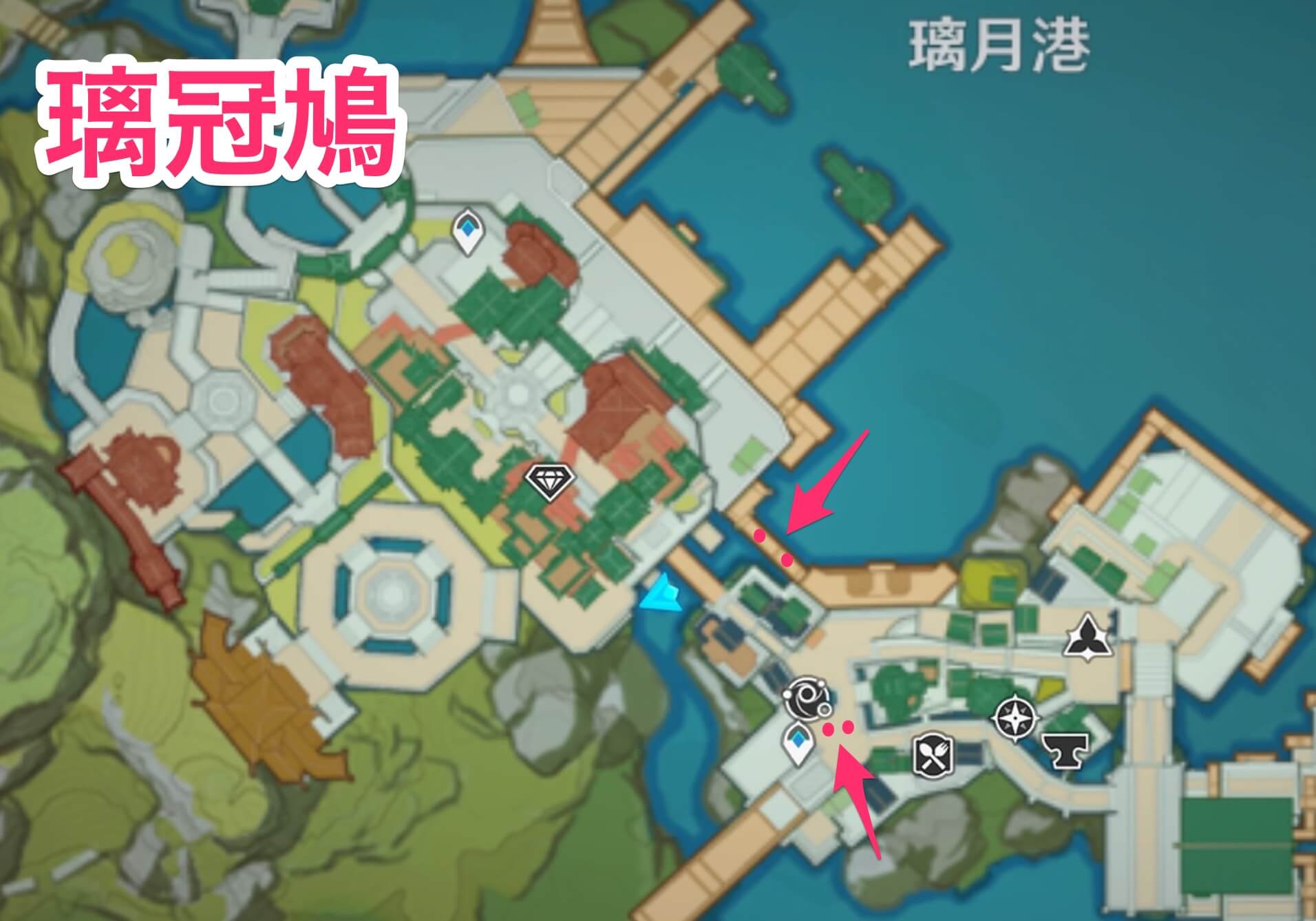 璃冠鳩のマップ画像