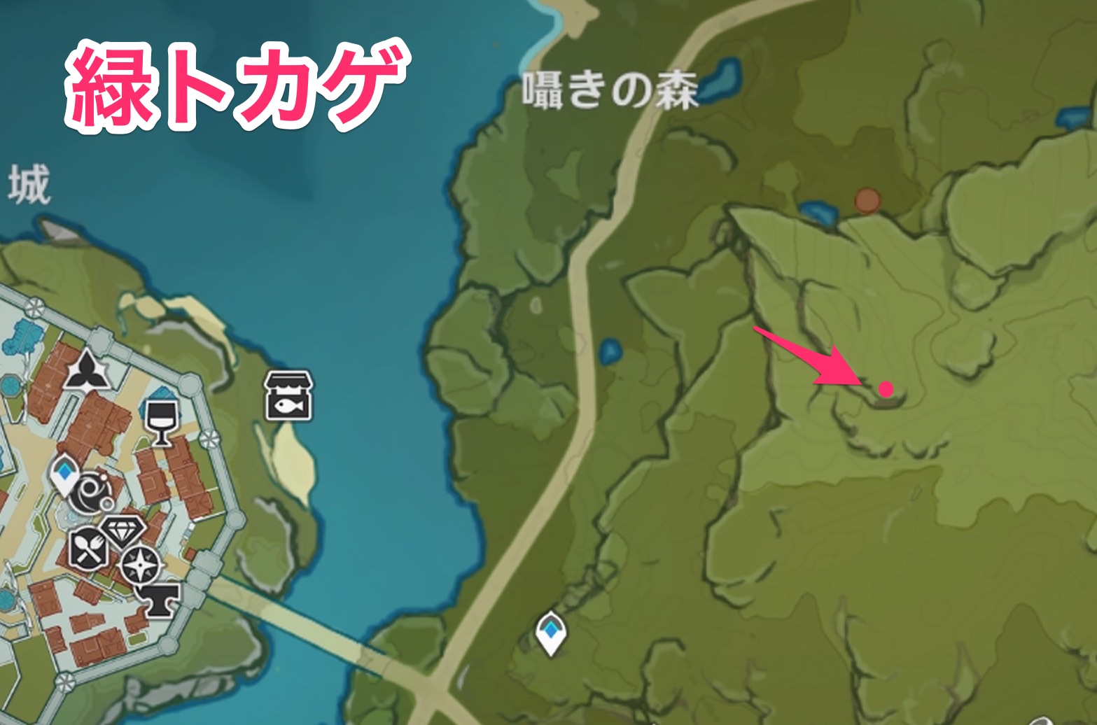 緑トカゲのマップ画像