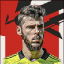 FPダビドデヘア(パック)画像