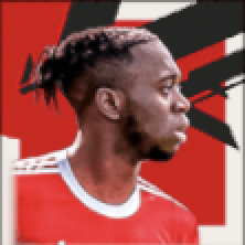 FPアーロンワンビサカ(パック)画像