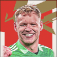 FPアーロンランズデイル(パック)画像