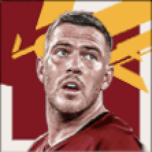 FPジョルダンヴェレトゥ(パック)画像