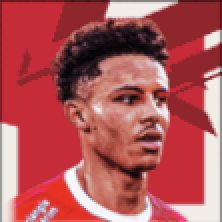 FPソフィアーヌディオップ(パック)画像