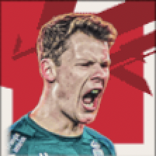 FPアレクサンダーニューベル(パック)画像