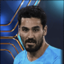 FPイルカイギュンドーアン(パック)画像