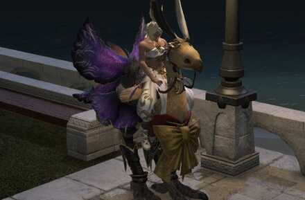 チョコボ装備は見た目の変更のみ