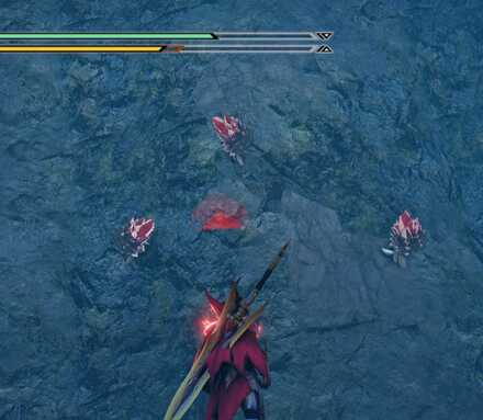 セキヘイヒザミ見た目