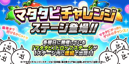 マタタビチャレンジバナー