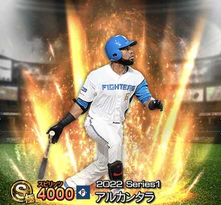 アルカンタラ画像