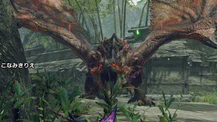 ヌシリオレウス