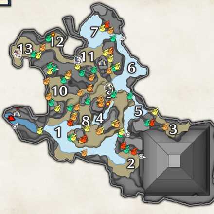 水没林上層のヒトダマドリの場所